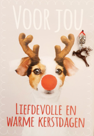 LIEFDEVOLLE EN WARME KERSTDAGEN