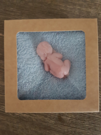 BABYZEEP LICHT BLAUW DOEKJE