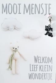 MOOI MENS KAARTJE- WELKOM LIEF KLEIN WONDERTJEs