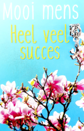 HEEL VEEL SUCCES