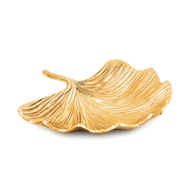 Schaal GINKGO