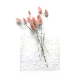 Lagurus roze (hazenstaart) mini set