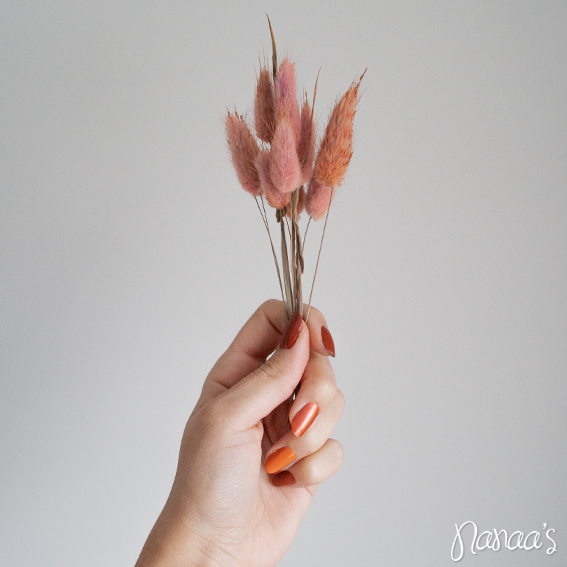 Mini droogbloemen, miniset droogbloemen, droogbloemetjes | Nanaa's Online Conceptstore