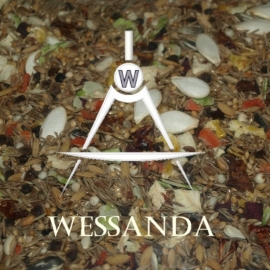 Wessanda Gerbil Mix