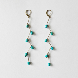 Wooden Galapagos turquoise grappes