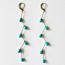 Wooden Galapagos turquoise grappes