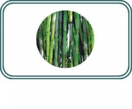 Luiers met Bamboe