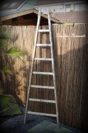 Houten puntladder/plukladder