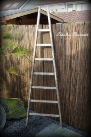 Houten puntladder/plukladder