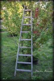 Oude houten puntladder/plukladder/ladder