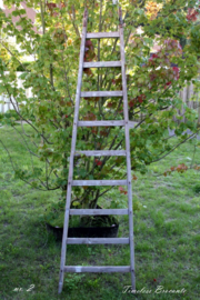 Oude houten puntladder/plukladder/ladder