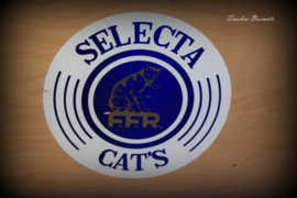 Vintage fourniturenkastje/garenkastje "Selecta FFR Cat's"