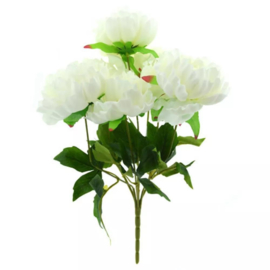 Bos pioenen wit