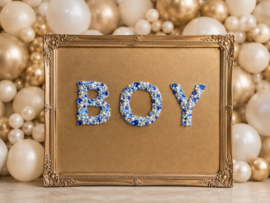 Luxe Welkomstbord BOY