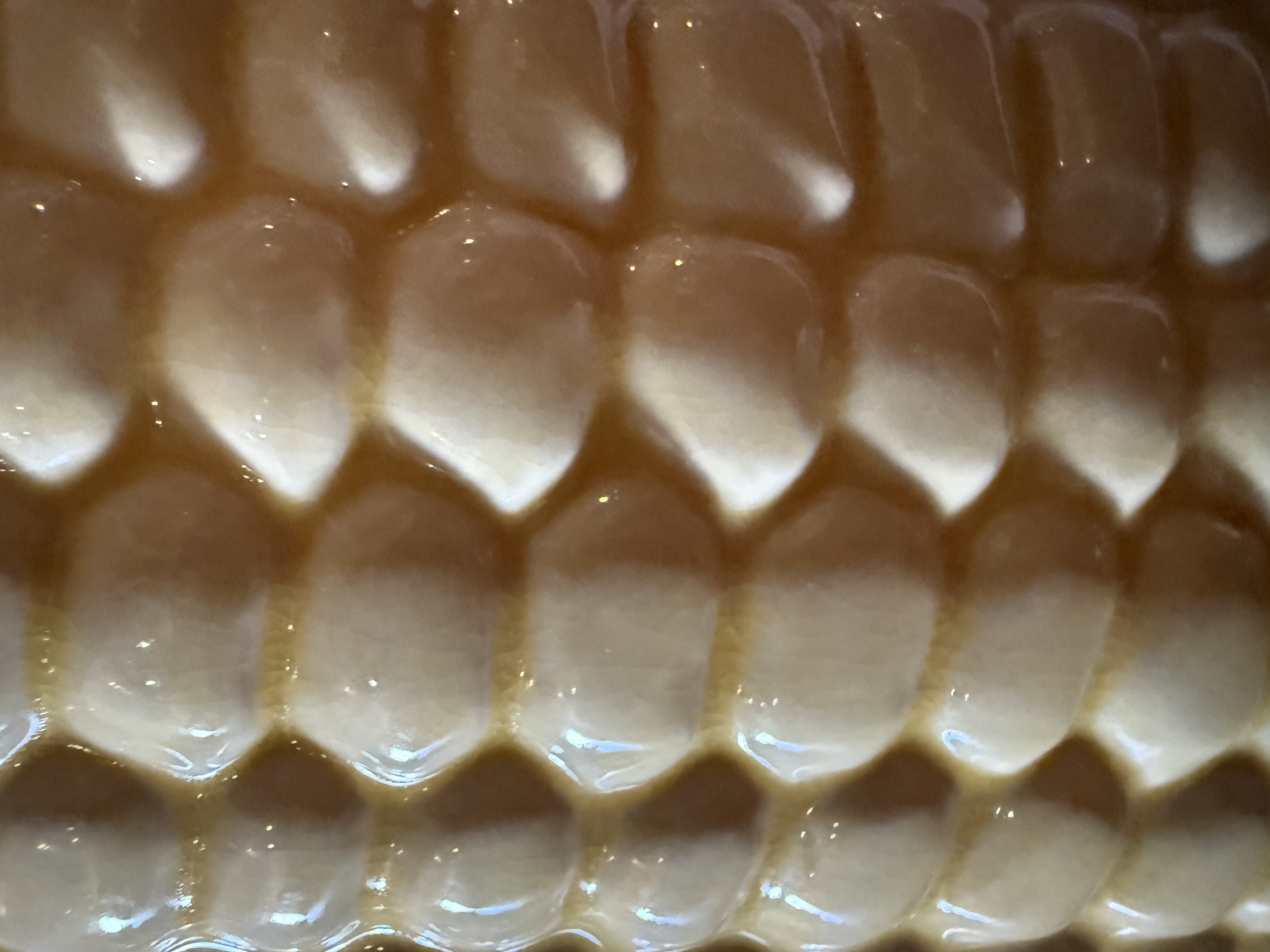 Light & Living vaas Corn 41cm.