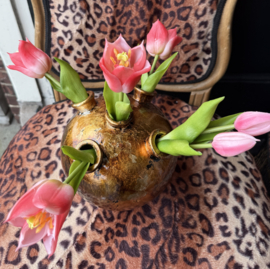 Tulpenvaas incl tulpen