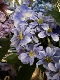 SALE!!! Hoge vaas met paars blauw plukboeket