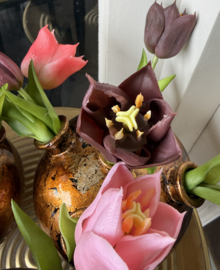 Tulpenvaas incl tulpen
