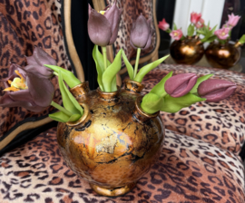 Tulpenvaas incl tulpen