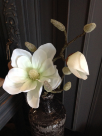 Magnolia wit met katjes