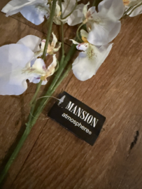 Partij 40 takken witte orchideeën