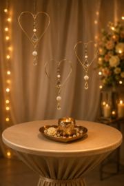 Luxe Harthanger Champagne set van 5