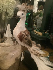 Pauw wit met glitter