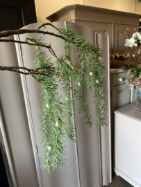 PTMD Larix 120cm