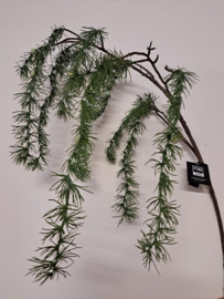 PTMD Larix 120cm