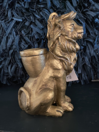 Kandelaar leeuw, Lion goud