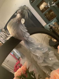 Pauw pastel met glitter