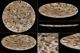 Decoratiebord schelpenschaal