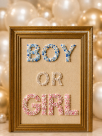 Luxe Welkomstbord Boy or Girl