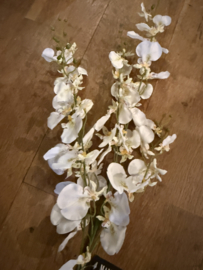 Partij 40 takken witte orchideeën