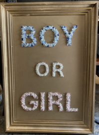 Gender Reveal or Baby Shower