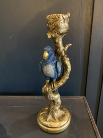 Kandelaar parrot blue gold