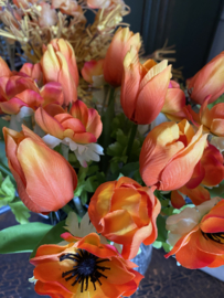 PTMD tulp oranje