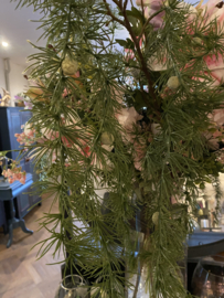 PTMD Larix 120cm