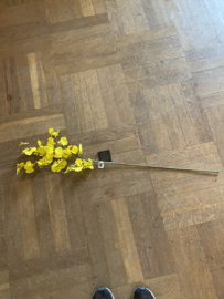 Lange tak mini orchidee geel