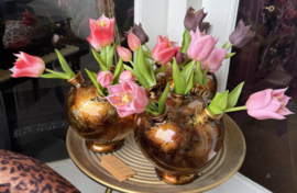 Tulpenvaas incl tulpen
