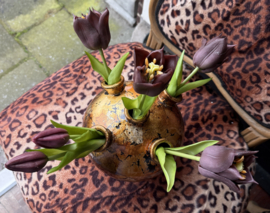 Tulpenvaas incl tulpen
