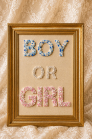 Luxe Welkomstbord Boy or Girl
