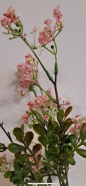 Sierheester licht roze tak 90cm