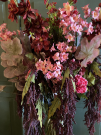Purperklokje, Heuchera