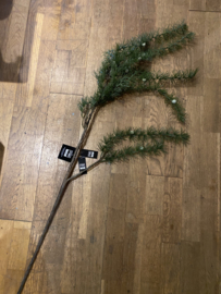 PTMD Larix 120cm