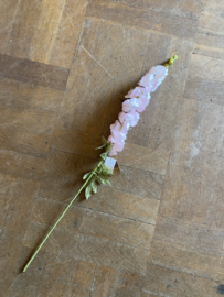 Delphinium licht roze 78cm