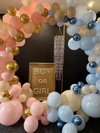 Gender Reveal or Baby Shower