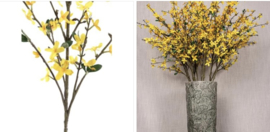 Forsythia 114cm.