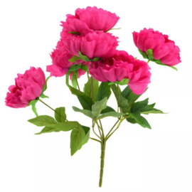 Bos Pioenen hard roze 45cm.