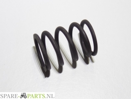 NH 4812347 Spring